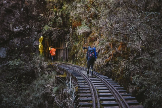 forest railways forest railways